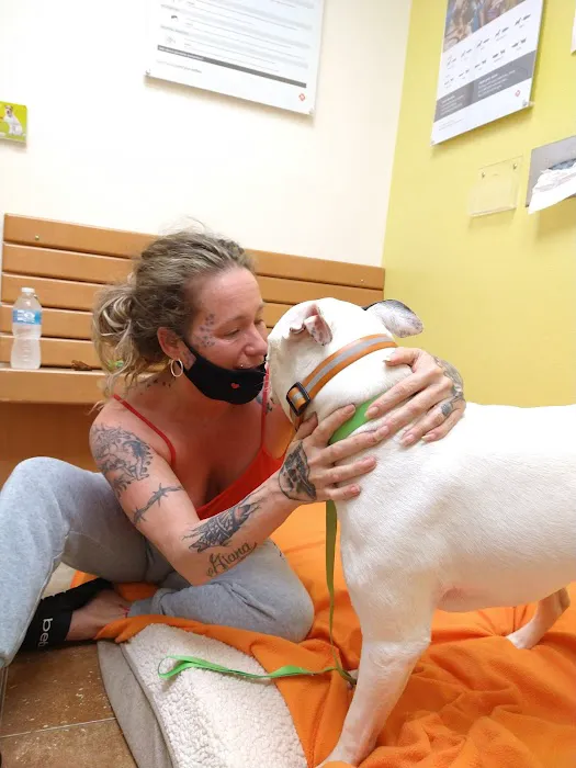 Banfield Pet Hospital 6