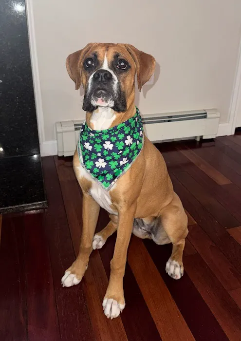 Banfield Pet Hospital 9