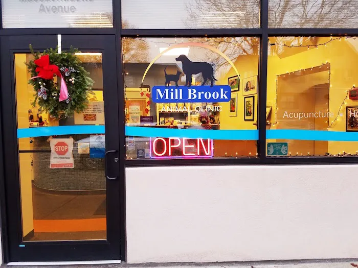 Mill Brook Animal Clinic 7