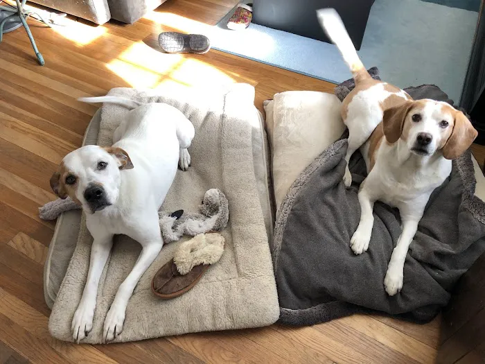 Mill Brook Animal Clinic 1