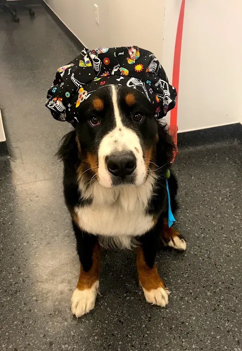 Mill Brook Animal Clinic 6