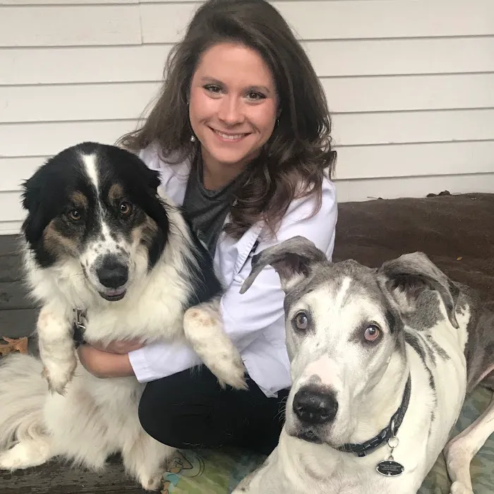 Mill Brook Animal Clinic 4