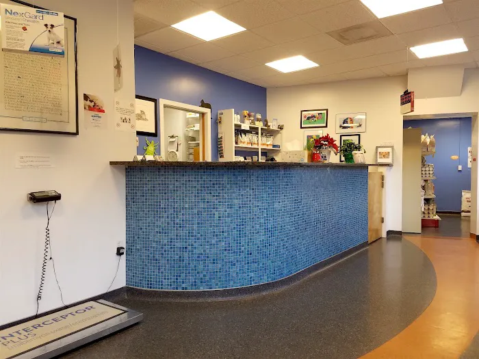 Mill Brook Animal Clinic 9