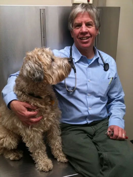 Mill Brook Animal Clinic 5