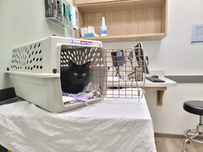 VCA City Cats Hospital 1