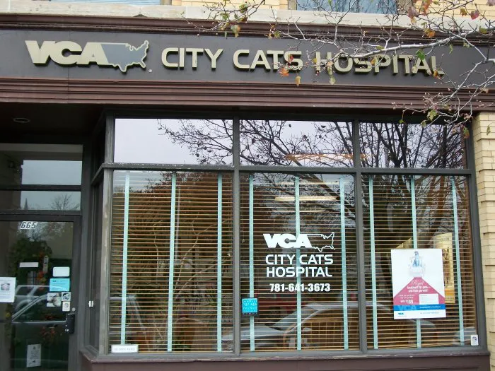 VCA City Cats Hospital 8