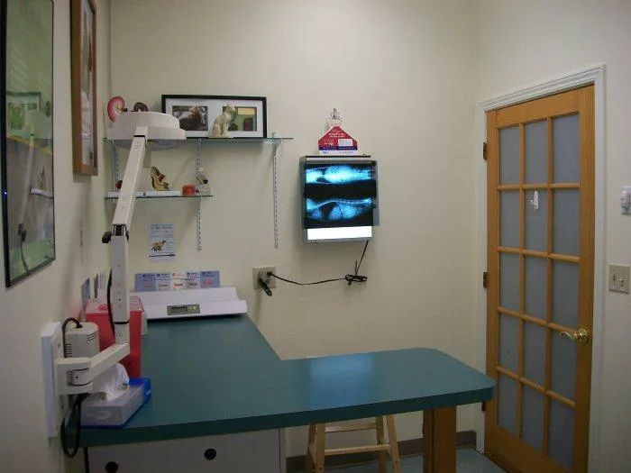 VCA City Cats Hospital 6