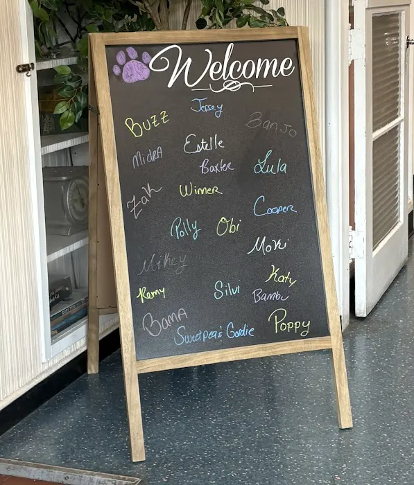 Thrive Pet Healthcare at Medford 8