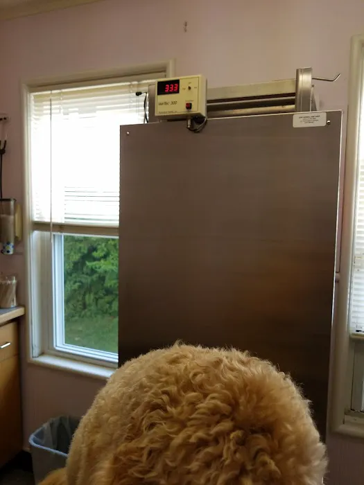 Thrive Pet Healthcare at Medford 10