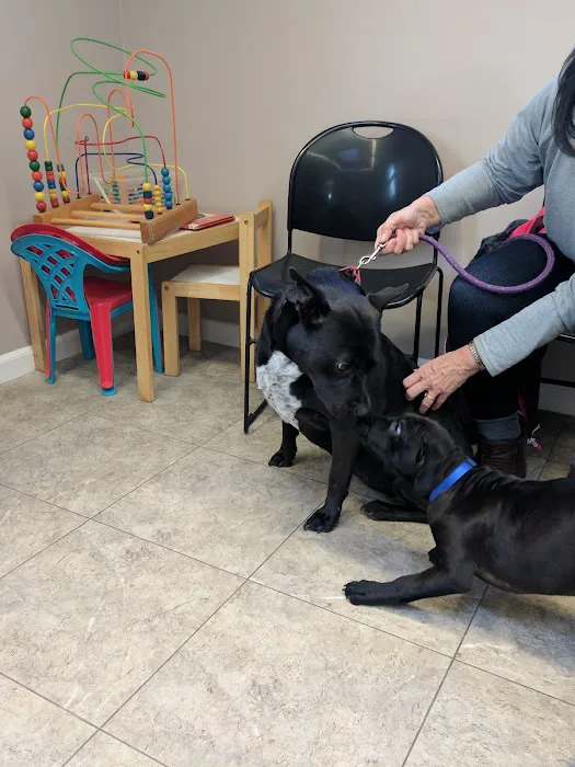 Central Animal Hospital of Stoneham 7