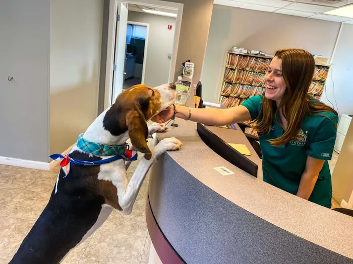 Central Animal Hospital of Stoneham 8