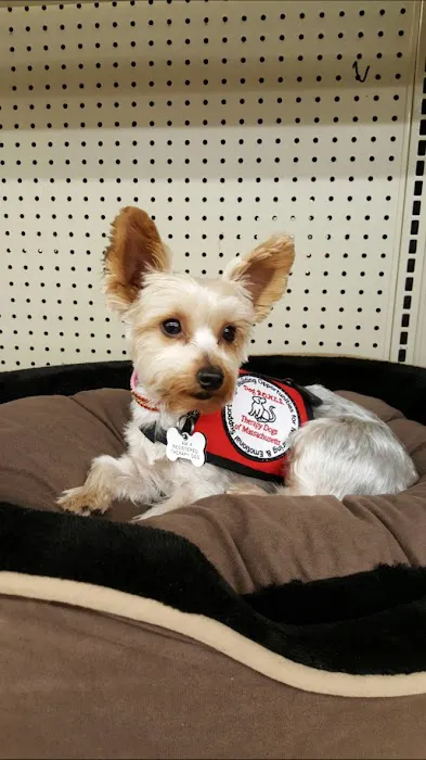 Stoneham Animal Hospital Inc 7