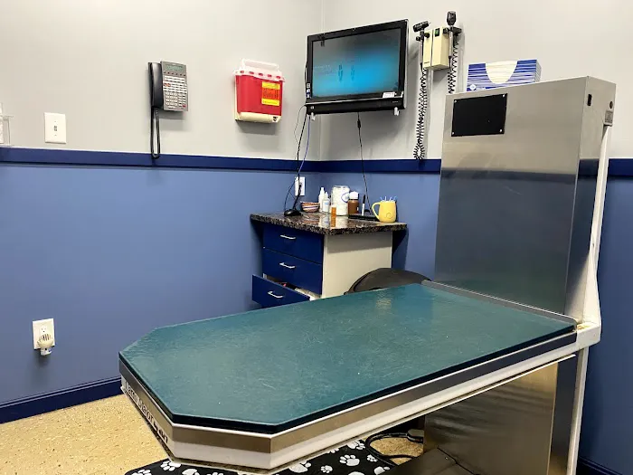 Stoneham Animal Hospital Inc 4