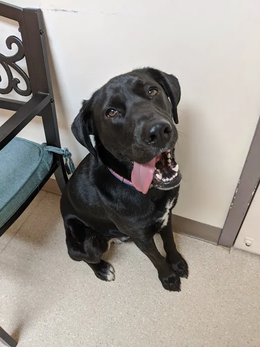 Fresh Pond Animal Hospital 8
