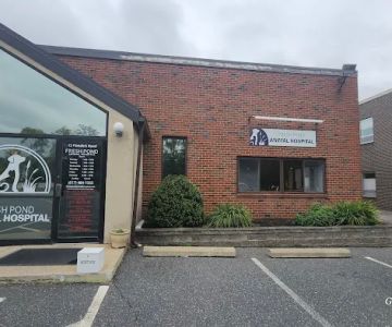 Fresh Pond Animal Hospital