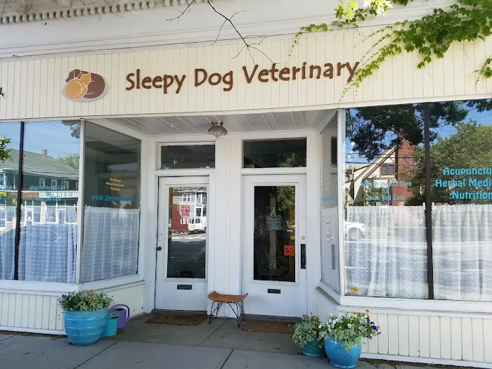 Sleepy Dog Veterinary 6
