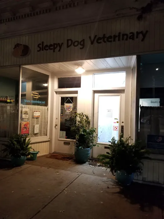 Sleepy Dog Veterinary 7
