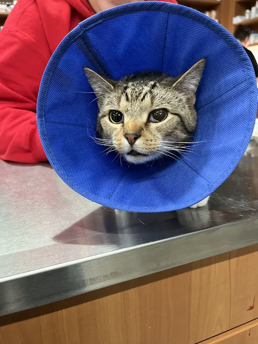 Veterinary Emergency Group 6