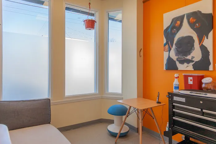 Heal Veterinary Clinic 1