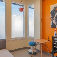 Heal Veterinary Clinic ico