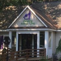 Reading Animal Clinic ico