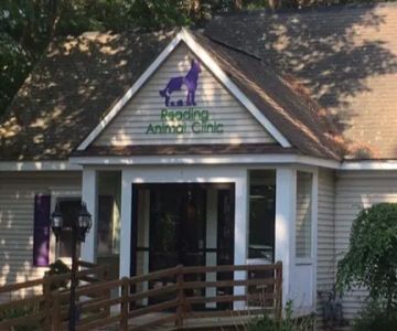 Reading Animal Clinic