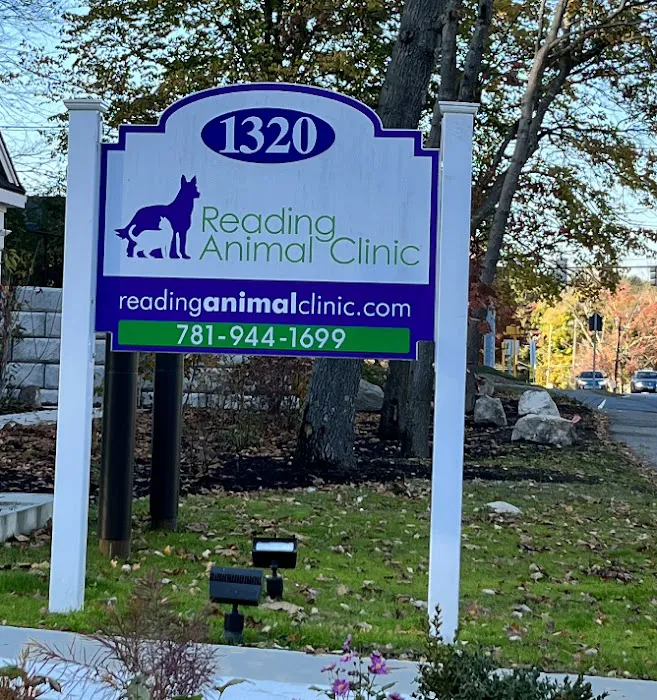 Reading Animal Clinic 10