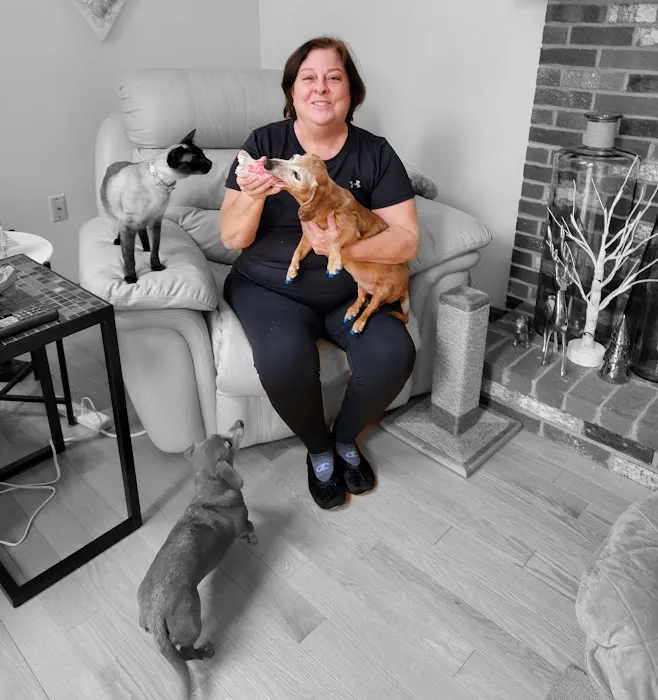 Park Street Veterinary Clinic 2