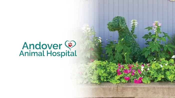 Andover Animal Hospital 10