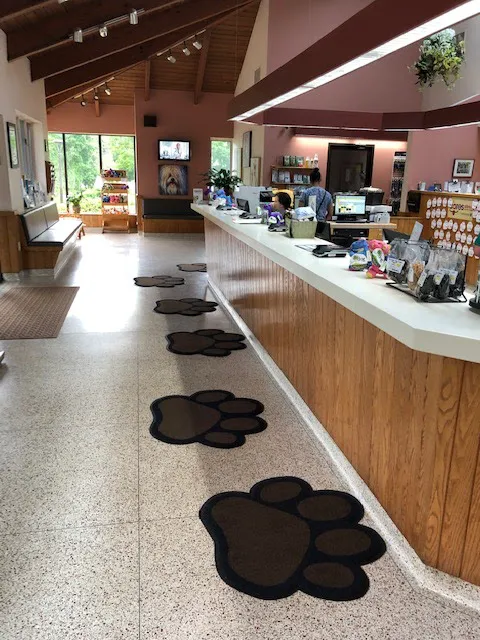 Andover Animal Hospital 7