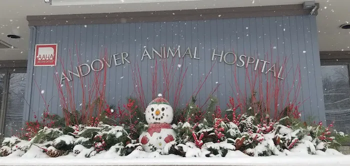 Andover Animal Hospital 6