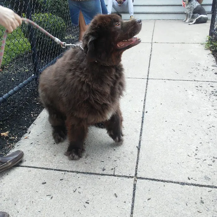 Merwin Memorial Free Clinic For Animals, Inc 10