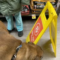 VIP Petcare Vaccination Clinic ico