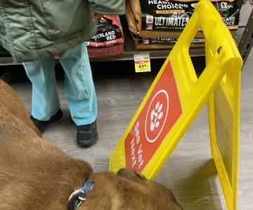 VIP Petcare Vaccination Clinic