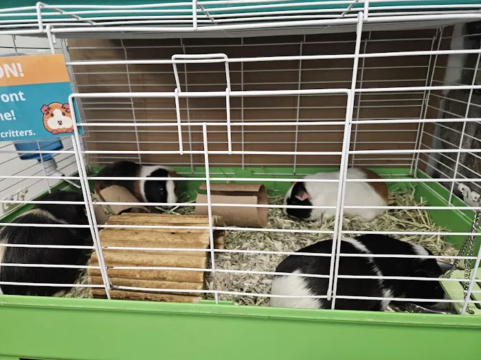 JM Pet Resort & Veterinary Clinic 1