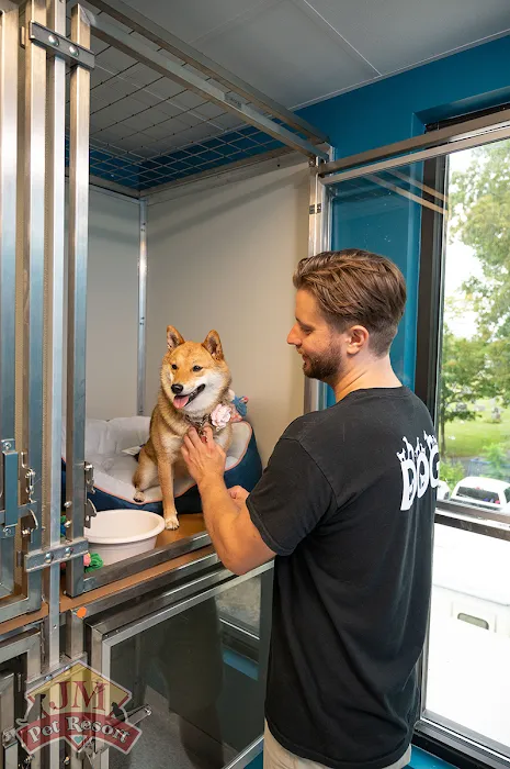 JM Pet Resort & Veterinary Clinic 8
