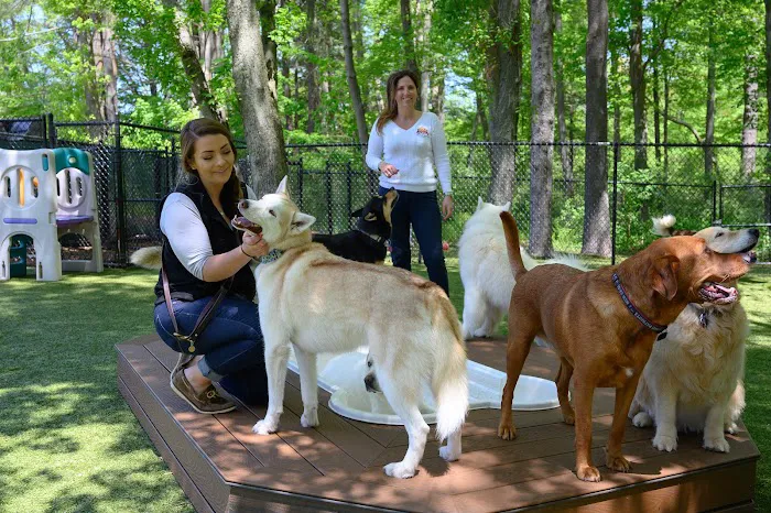 JM Pet Resort & Veterinary Clinic 5