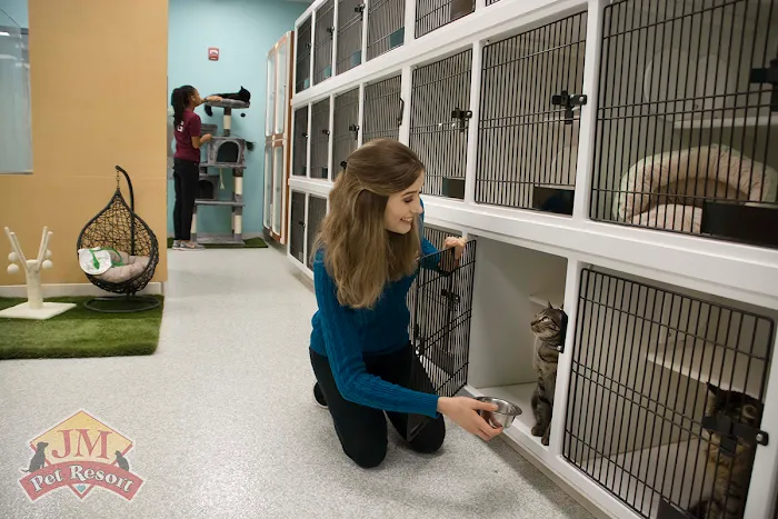 JM Pet Resort & Veterinary Clinic 10