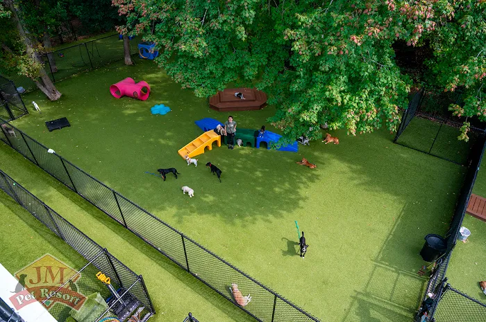 JM Pet Resort & Veterinary Clinic 7