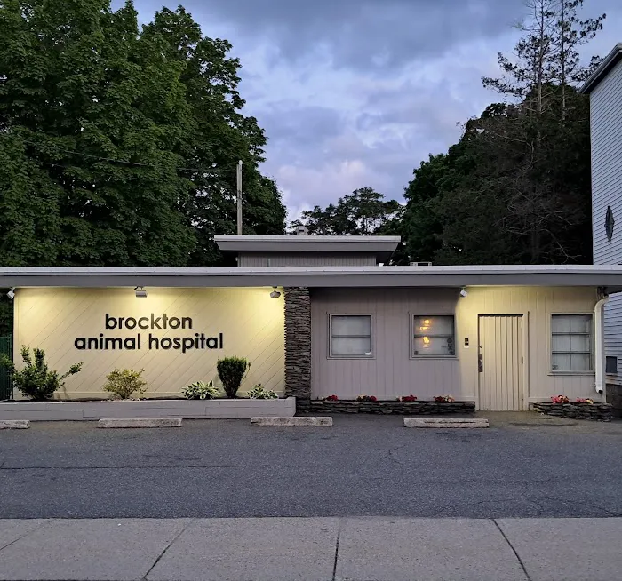 Brockton Animal Hospital 6