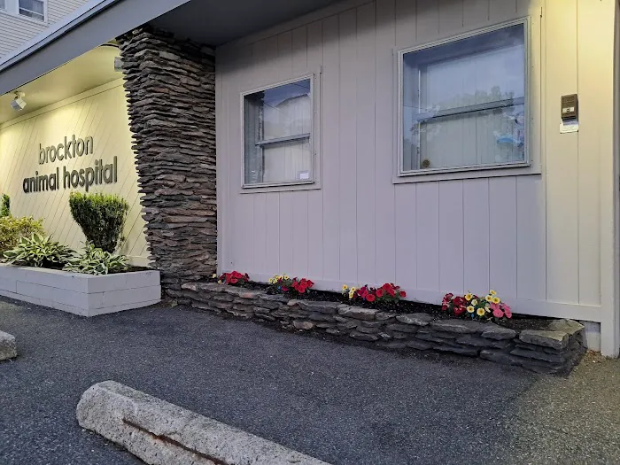 Brockton Animal Hospital 7