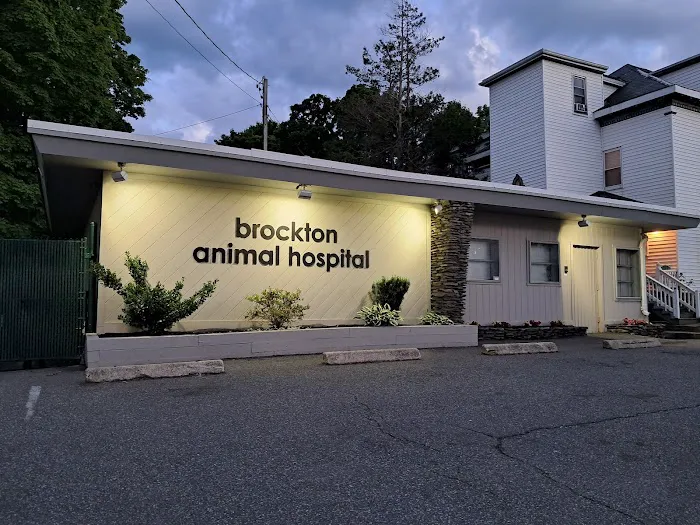 Brockton Animal Hospital 5