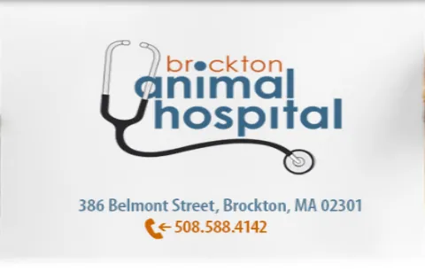 Brockton Animal Hospital 10
