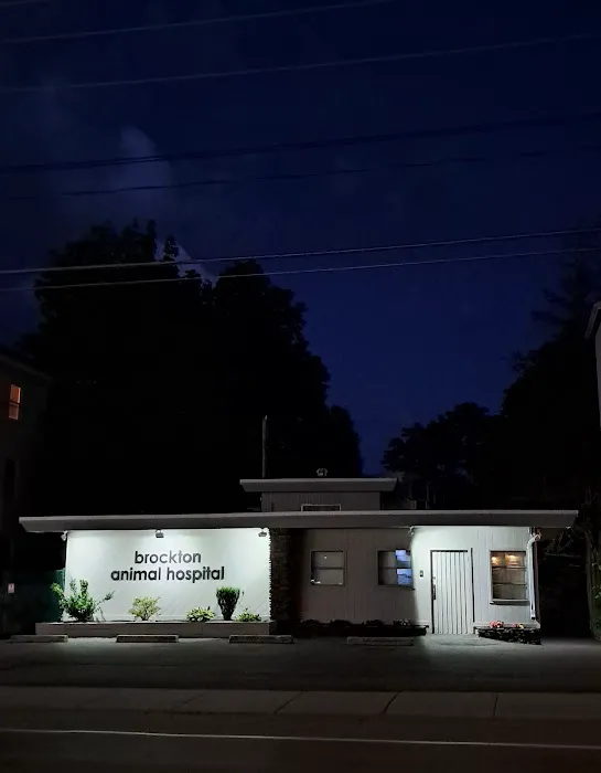 Brockton Animal Hospital 1
