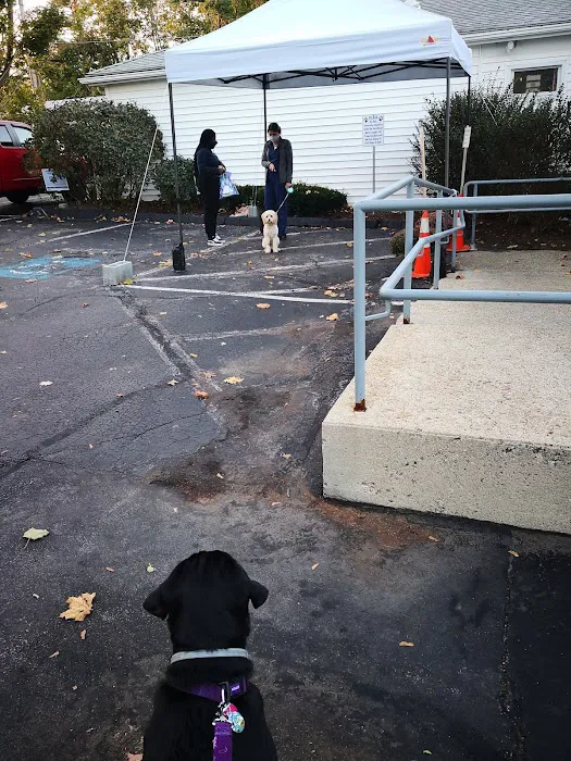 VCA North Main Street Veterinary Clinic 7