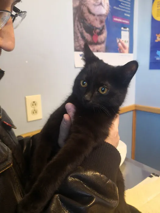 VCA North Main Street Veterinary Clinic 1