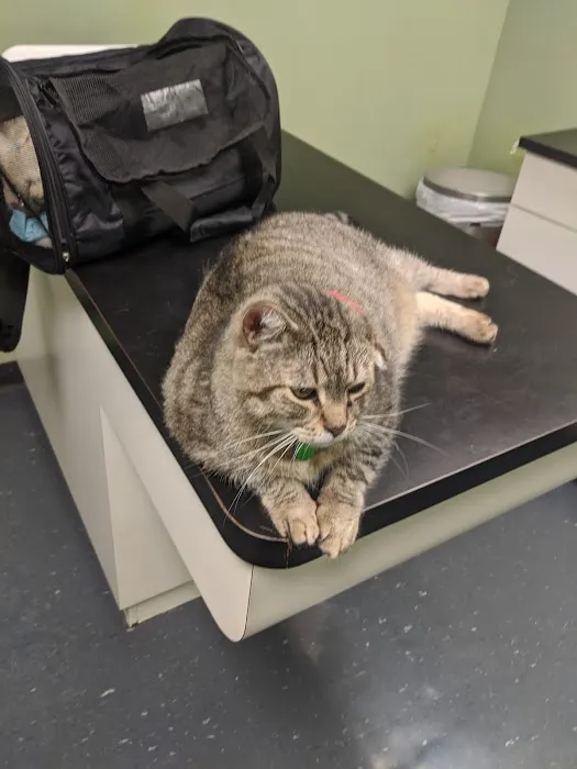 Jamaica Plain Animal Clinic 3