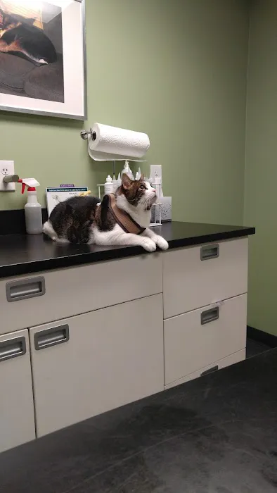 Jamaica Plain Animal Clinic 1