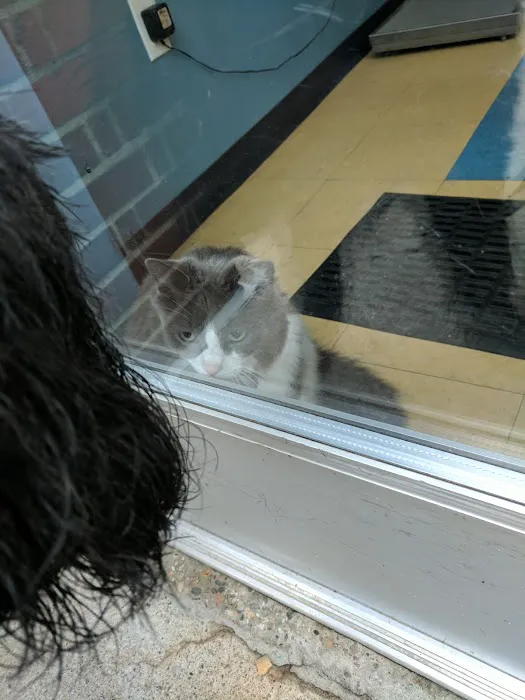 Jamaica Plain Animal Clinic 7