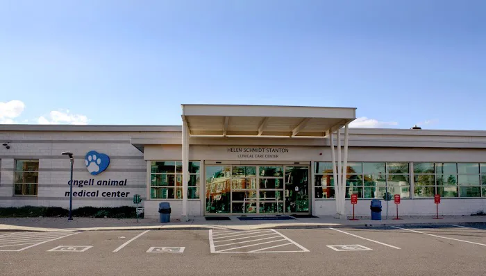 Angell Animal Medical Center 1